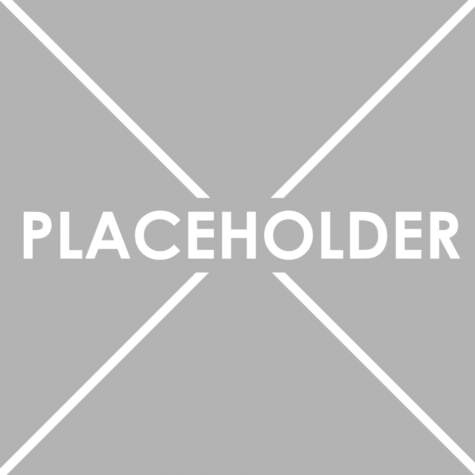 placeholder-1